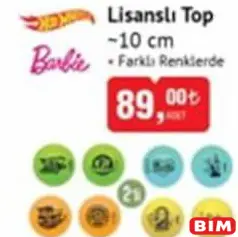 HOT WHEELS/BARBİE LİSANSLI TOP